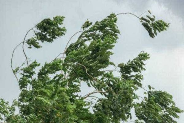 ANM: COD GALBEN DE VÂNT ÎN 8 JUDEȚE DIN ȚARĂ