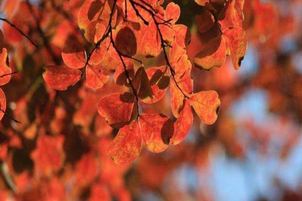 Prognoza meteo. Cum va fi vremea în weekend