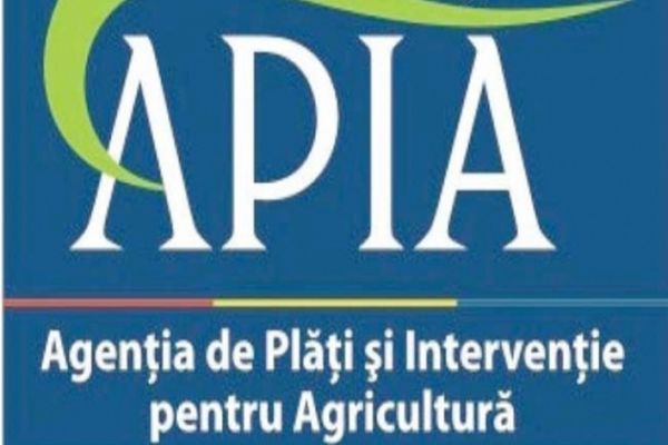 STTAUL PARALEL FORMAT LA CONDUCEREA APIA, DETALII ÎN EXCLUSIVITATE. CUM AU AJUNS OAMENII SERVICIILOR SĂ DIRIJEZE BANII PENTRU AGRICULTURĂ