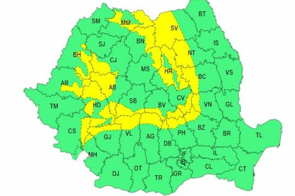 COD GALBEN DE VÂNT PUTERNIC 