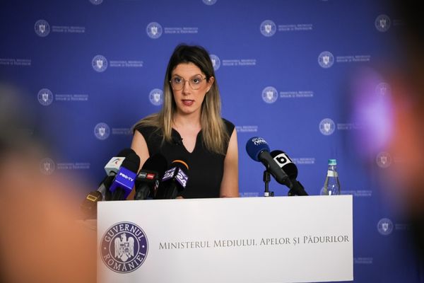 AMENZI MAI MARI PENTRU CEI CARE HRĂNESC URȘII: REACȚIA GUVERNULUI DUPĂ TRAGEDIILE DE PE TRANSFĂGĂRĂȘAN