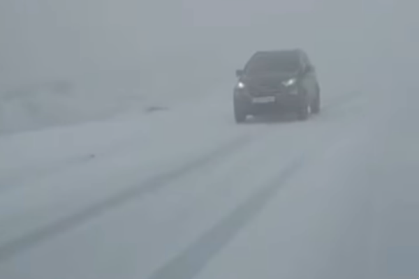 PRIMELE NINSORI DIN ACEST SEZON ȘI-AU FĂCUT APARIȚIA ÎN ZONELE MONTANE DIN ȚARĂ 