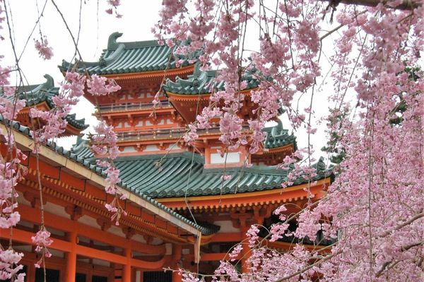 Japonia: o femeie de 76 de ani, condamnată la închisoare pentru că a ascuns timp de 20 de ani cadavrul fiicei sale