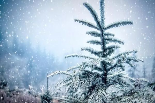 Răcire accentuată a vremii! Prognoza ANM