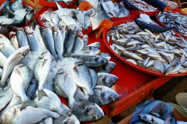 Care este cel mai bun pește pentru creier. Nutriționiștii recomandă consumul lui de două ori pe săptămână