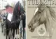 "Paștele cailor" sărbătorit anul acesta în data de 16 martie, de bulgarii din Târgoviște