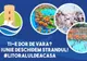 Se deschide ștrandul de la Complexul Turistic de Natație!