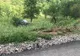A ieșit în decor cu autoturismul. Noroc cu un copac ce a pus capăt "aventurii"