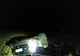 Cal omorât de o mașină, într-un accident, pe DN72