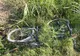Biciclist accidentat la Lungulețu