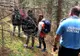 O familie, din București, a fost salvată de jandarmii montani, după ce s-au rătăcit în Bucegi