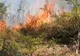 Incendiu în pădurea Mija