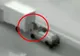 VIDEO Cum operau pe autostradă hoții care foloseau metoda „distragerii atenţiei”