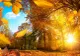 Prognoza meteo lunară. Cum arată estimările meteorologice pentru următoarele 4 săptămâni
