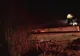 VIDEO Accidentul cu 4 victime de la Colacu. Șofer: căruța nu era nesemnalizată