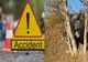 Accident cu "cântec", în Dâmbovița, după ce  un bărbat a anunțat polițiștii că o mașină a ieșit de pe carosabil