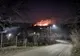 Foto-Video| Foc devastator la Gura Ocniței, în Dâmbovița. Livezi întregi au ars de la un foc nesupravegheat