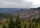Foto| Vântul puternic a culcat la pământ suprafețe întinse de pădure, în Bucegi