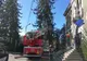 Video| Un brad de peste 100 de ani, de aproape 10-15 metri înălțime, riscă să cadă peste Primăria Târgoviște