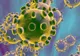 Al șaptelea caz de infectare cu Coronavirus, din România, a fost confirmat. Este tot în Timișoara