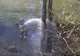 (FOTO)-Puternic incendiu de vegetație în Parcul Cantacuzino, de la Ciocănești, județul Dâmbovița