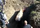 Foto| Operațiune de salvare mai puțin obișnuită. Au intervenit pentru salvarea unei văcuțe, căzute într-un canal