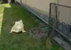 Tragedie în Dâmbovița. Bărbat găsit mort în bazinul pentru apometru