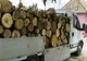 Un bărbat din Dâmbovița transporta lemne ilegal, dar conducea și fără permis și nu avea nici asigurare la mașină