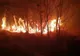 Alertă în Dâmbovița! Incendiile de vegetație uscată amenință pădurile din zonă