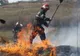 Un incendiu de vegetație a izbucnit la marginea Autostrăzii A1. Pentru lichidarea acestuia au intervenit pompierii din Găești
