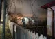 Pompierii dâmbovițeni  au intervenit noaptea trecută pentru stingerea a două incendii. O persoană a făcut atac de panică