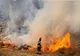 Dâmboviţa. Peste 60 de pompieri au intervenit pentru lichidarea a numeroase incendii de vegetație uscată
