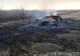 Incendiu de vegetație în Dâmboviţa. Pagubele au fost mari, anunță ISU Dâmbovița