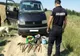 Tânăr din Giurgiu prins de jandarmii dâmboviţeni în timp ce recolta trufe în mod ilegal