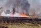 Incendiu violent în Dâmbovița! Arde o suprafaţă întinsă de vegetație uscată
