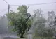 Avertizare meteo de vreme severă în nordul Dâmboviței! Meteorologii anunță cod galben de vânt puternic