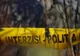 Dâmbovița. Un bărbat a murit într-o pădure, după ce o bucată de lemn i-a căzut în cap