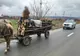 Dâmbovița: Prins în sat, cu căruța plină de lemne furate