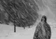 Atenționare meteo de vreme rea: Ninsori și viscol în zona de munte din 14 județe