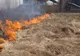 Incendiu de vegetație uscată în localitatea Dâmbovicioara 