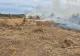 Incendiu de vegetație uscată în Ludești. Pompierii au intervenit cu două autospeciale