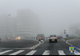 Circulație în condiții de ceață pe mai multe drumuri