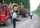 Transporta peste 25 de mc de lemn, dar nu avea acte pentru 7mc, din cantitate. A rămas fără toată încărcătura