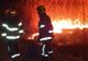 Video| Anormal! Pompierii din Dâmbovița se luptă cu un puternic incendiu de vegetație, la Vlădeni. Parcă ar fi mijlocul verii nu al...iernii