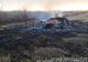 Incendiu de vegetație în Dâmboviţa. Pagubele au fost mari, anunță ISU Dâmbovița