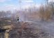 Un nou incendiu de vegetație uscată în Dâmbovița! Pompierii au intervenit de urgență