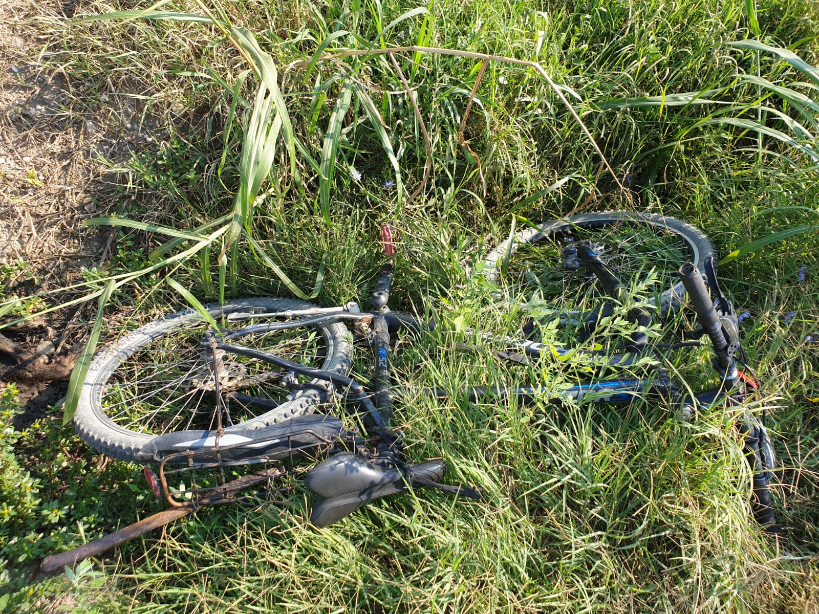 Biciclist Accidentat La Lungulețu Realitatea De Dambovița